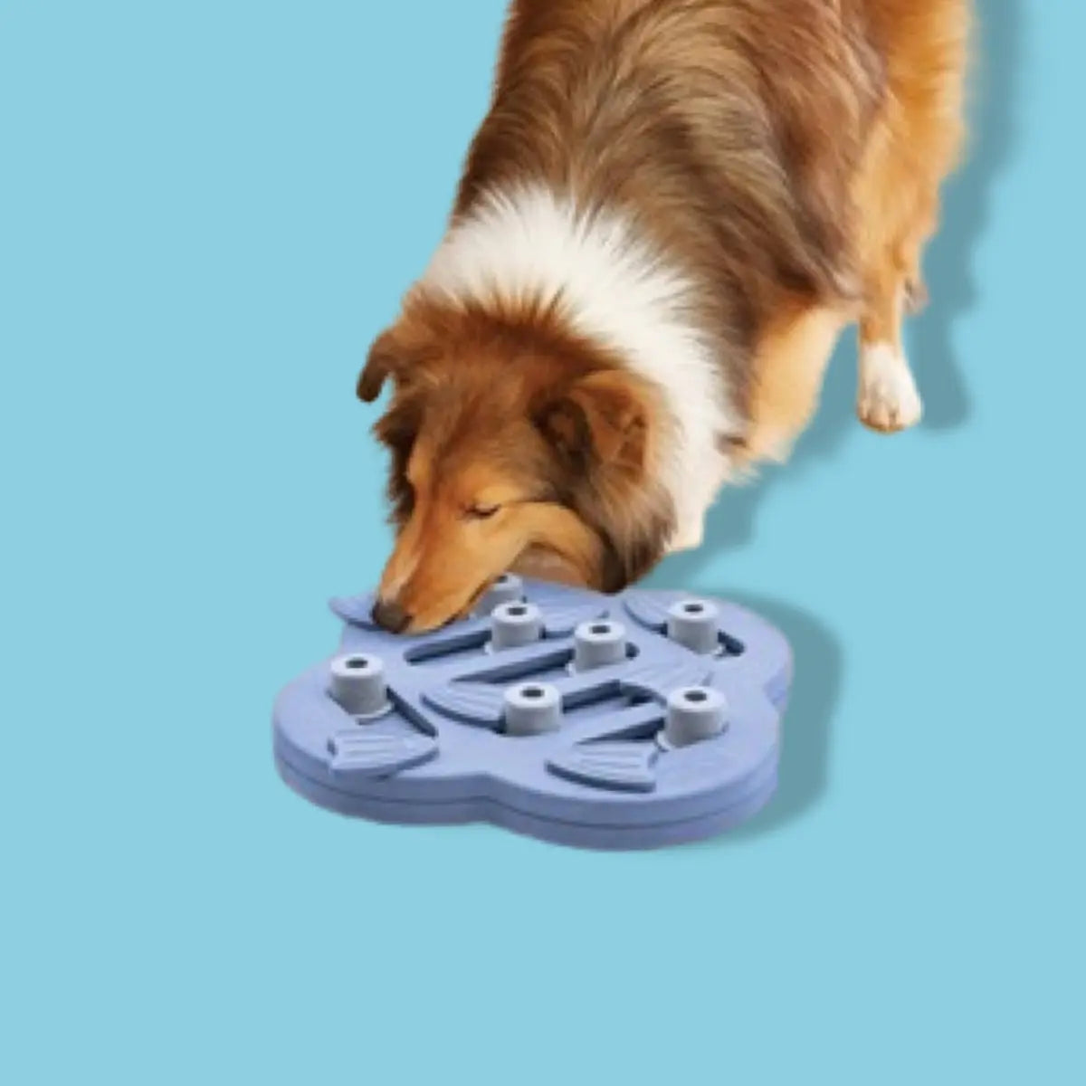 Nina ottosson dog hide n slide composiet 33x33x5 cm Classies