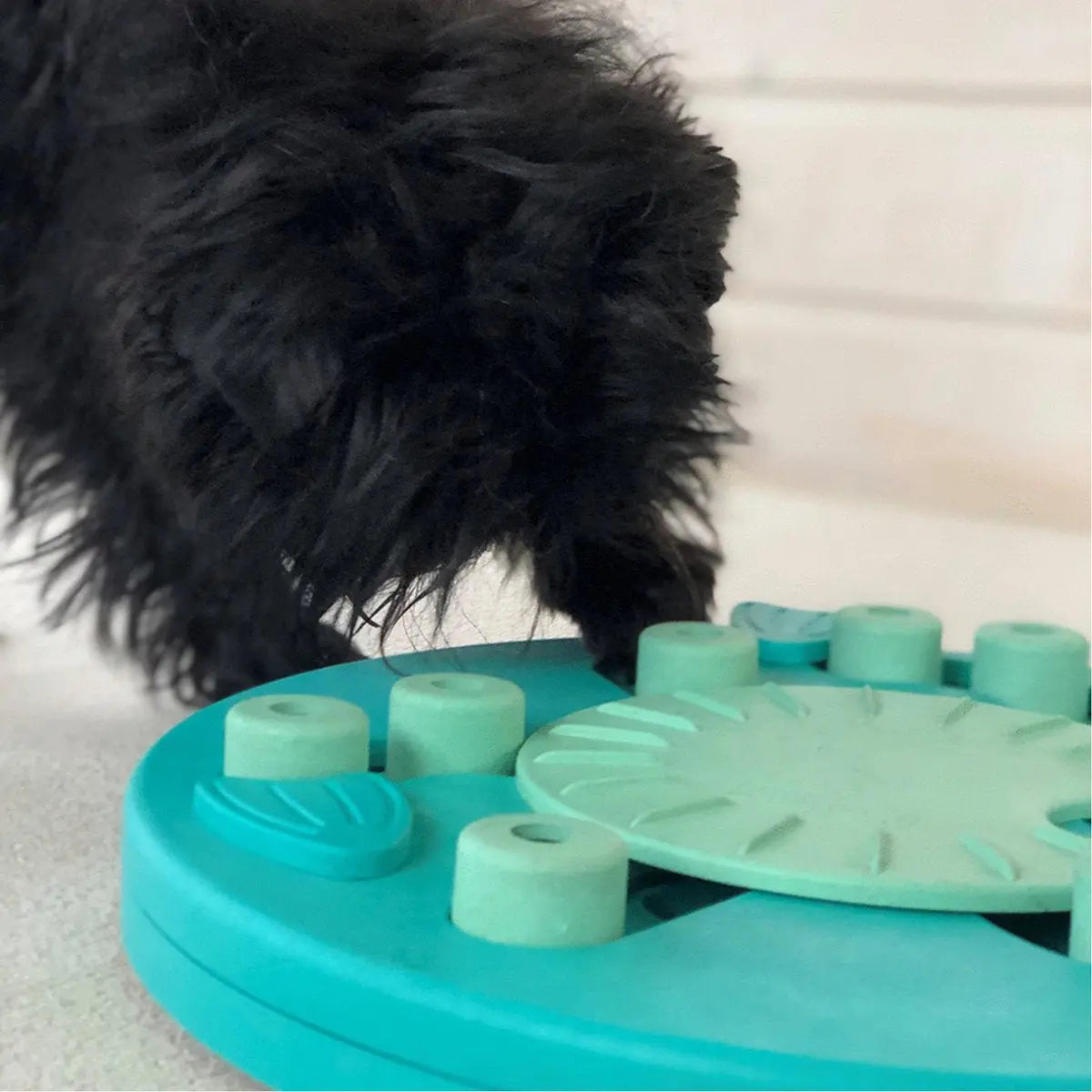 Nina ottosson dog worker composiet 34,5x34,5x5 cm Classies