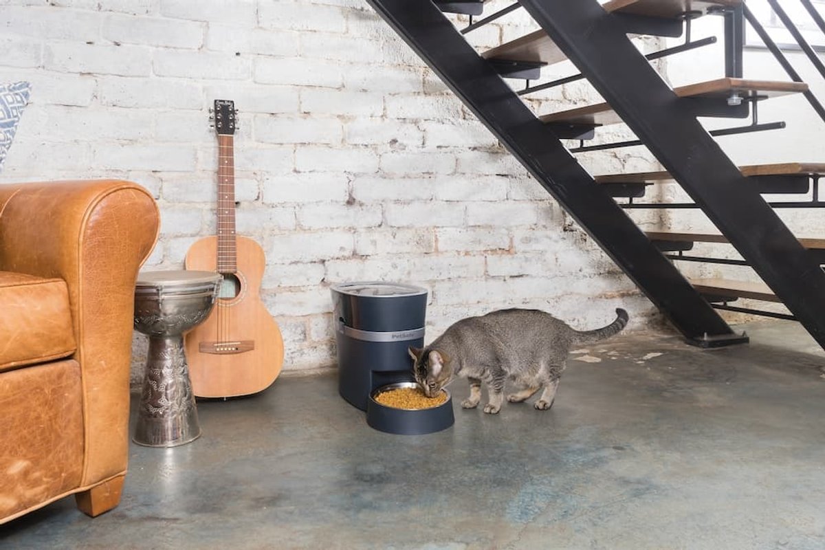 PetSafe® Smart Feed Automatischer Futterspender für Haustiere – Mit WLAN- und APP-Bedienung