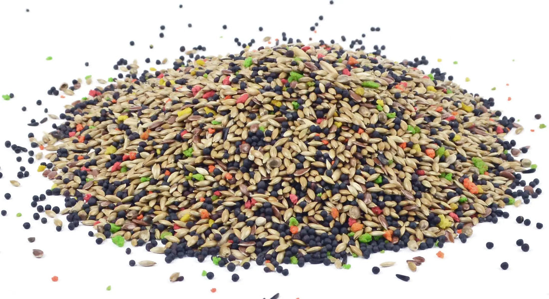 Vogelvoer Bird-X Kanariemengeling met fruit 1 - 5 - 20 kg Classies