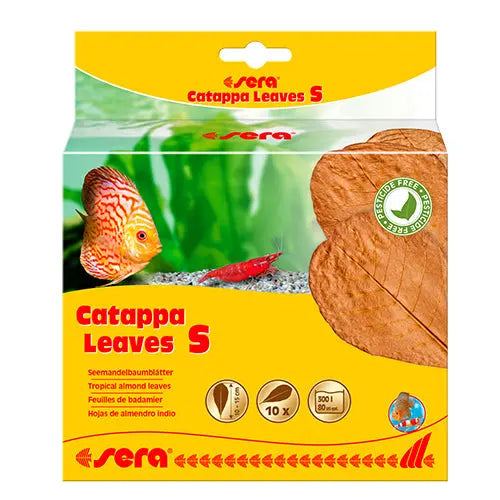 Sera Catappa Leaves S - M - XXL Classies