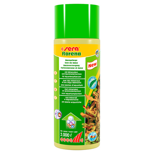 Es wird Florena sein