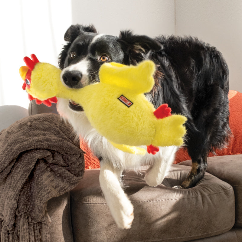 Kong hond scruffs chicken kip medium / large 44 cm Classies