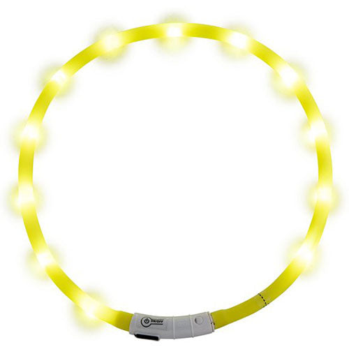 Jack and Vanilla LED Halsbanden - Verkrijgbaar in 4 kleuren Classies