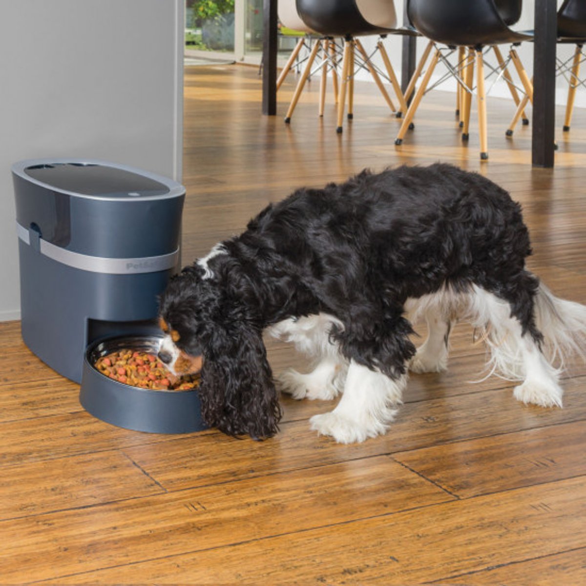 PetSafe® Smart Feed Automatischer Futterspender für Haustiere – Mit WLAN- und APP-Bedienung