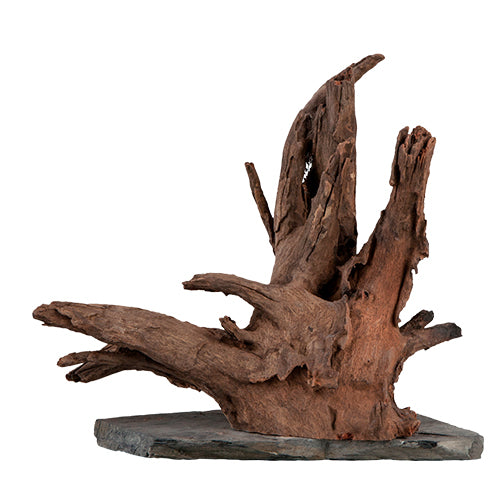 Sera Scaper Holz auf Schieferplatte