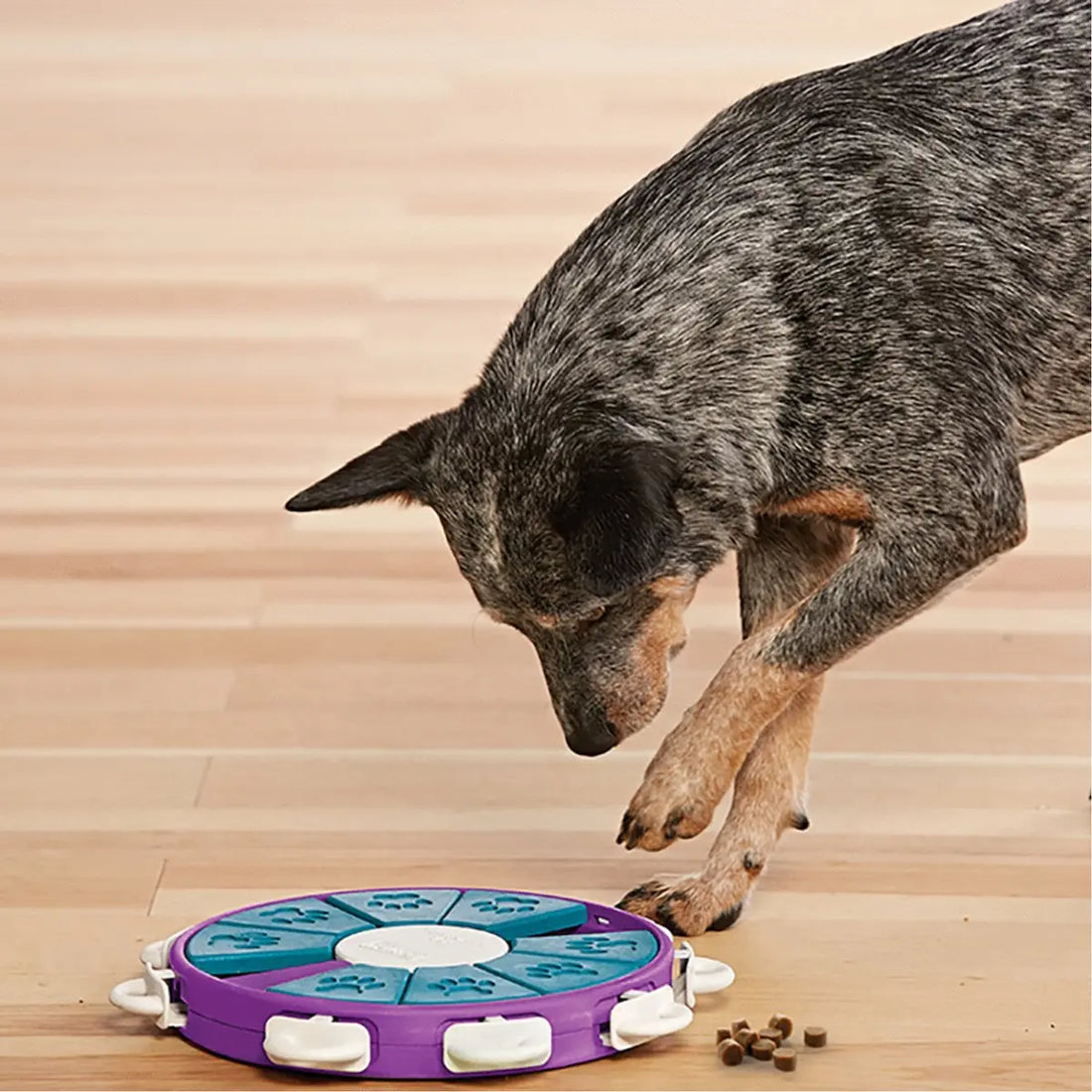 Nina Ottosson - Dog Twister - Hondenspeelgoed Intelligentie - Anti-schrok speelgoed Classies