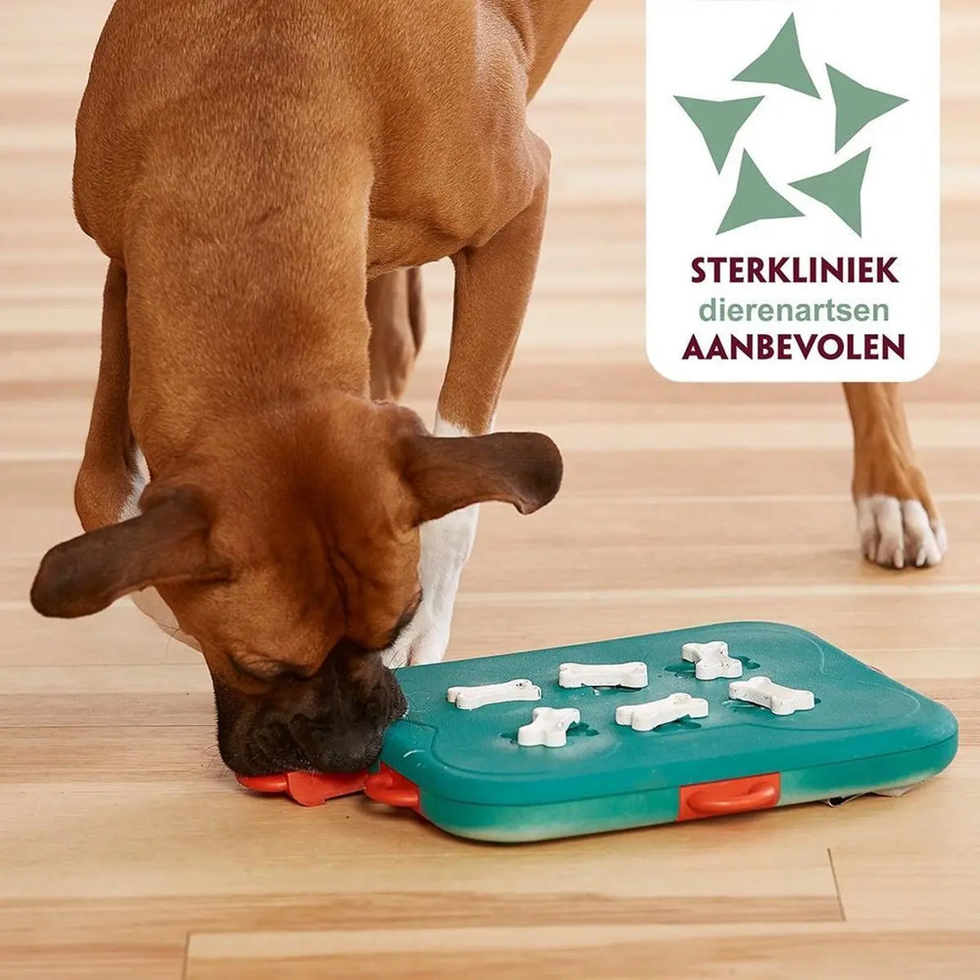 Nina Ottosson Dog Casino - Turquoise/Oranje - 31,5 x 26 x 4,5 cm Classies