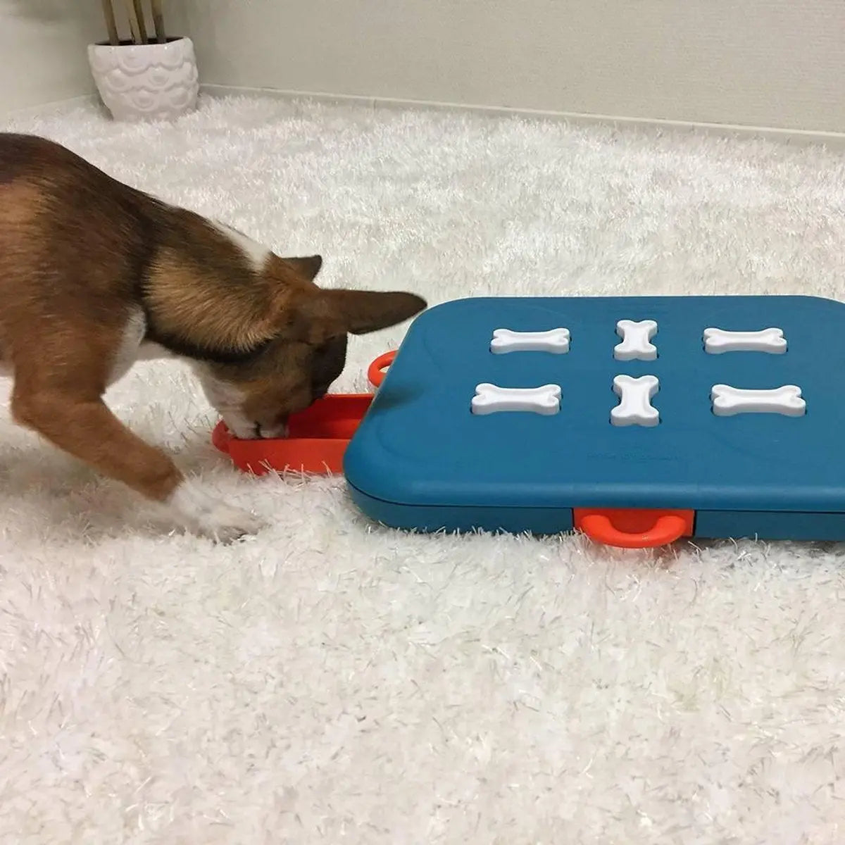 Nina Ottosson Dog Casino - Turquoise/Oranje - 31,5 x 26 x 4,5 cm Classies
