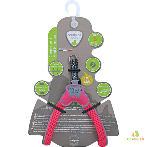 Coralpinia mini harnais Cinquetorri uniquement pour les très petites races