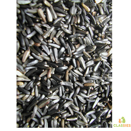 Graines de Niger en sachet 1 - 4,5 - 15 kg