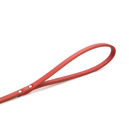 Beeztees Geniet Leren Hondenriem - Rood - 100 cm x 16 mm Classies