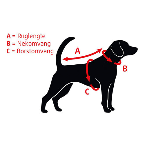 Beeztees Uni Nylon Hondenhalsband - Donkergrijs - Nekomtrek: 35-50 cm