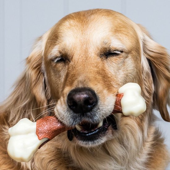 Nylabone Extreme Femur Rundssmaak Classies