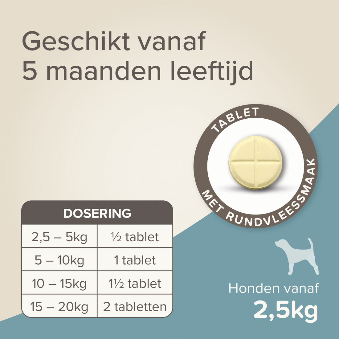 Beaphar Wormtabletten All-in-One Voor Honden
