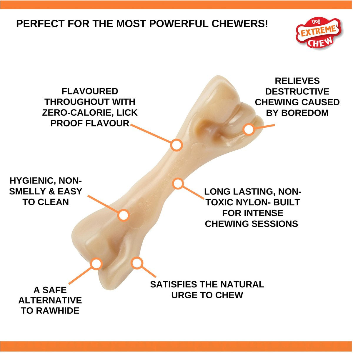 Nylabone Dura Chew Hard Biters Großer Rinderknochen