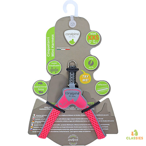 Coralpinia mini harnais Cinquetorri uniquement pour les très petites races