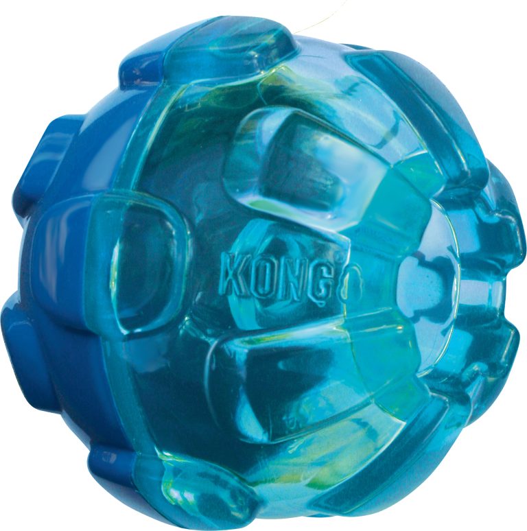 Kong rewards ball - beloningsbal