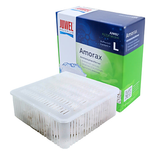 Juwel amorax - M - L - XL