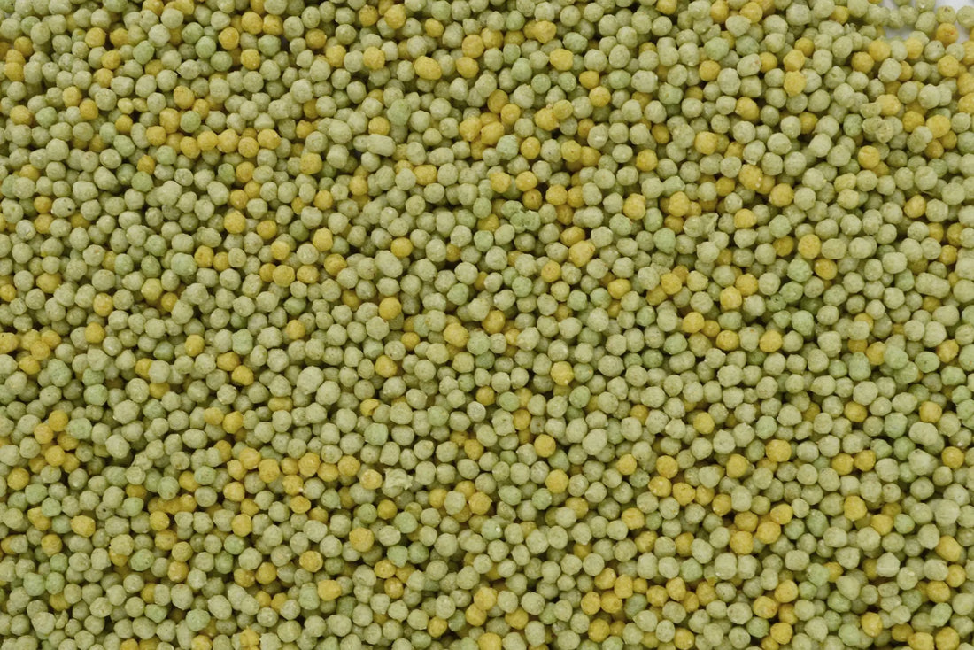 Opfokvoer Bravo pearls large zak 5 kg Classies