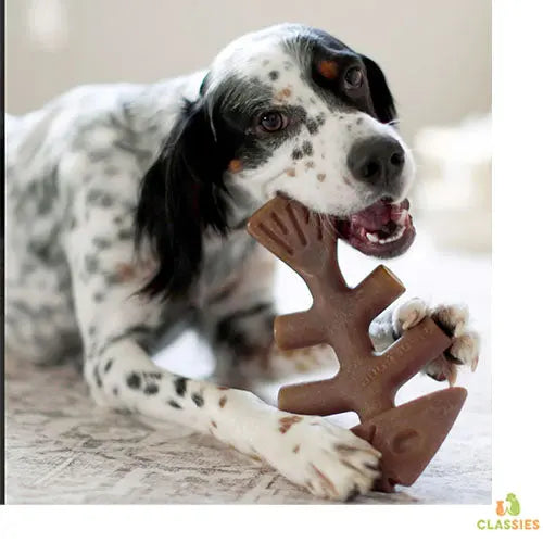 Benebone - fishbone - knaagspeelgoed kleine tot grote hond - 4 maten Classies