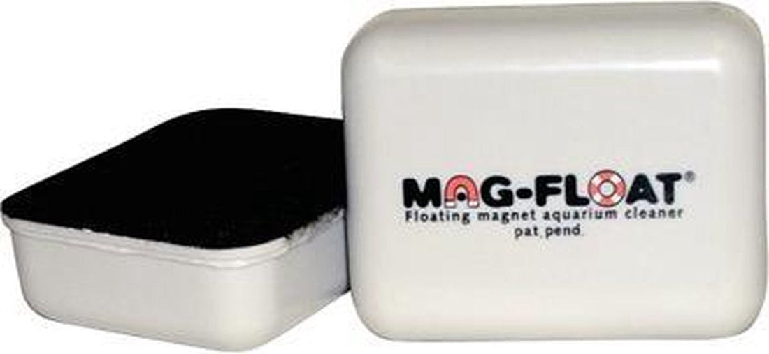 Mag-float algenmagneet vierkant voor glas tot 16 mm Classies