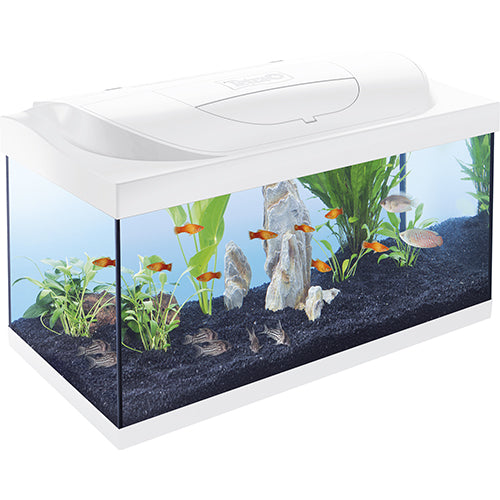 Tetra Aquarium Starter Set - 54 liter - 60 x 30 x 30 cm - Zwart of Wit Classies