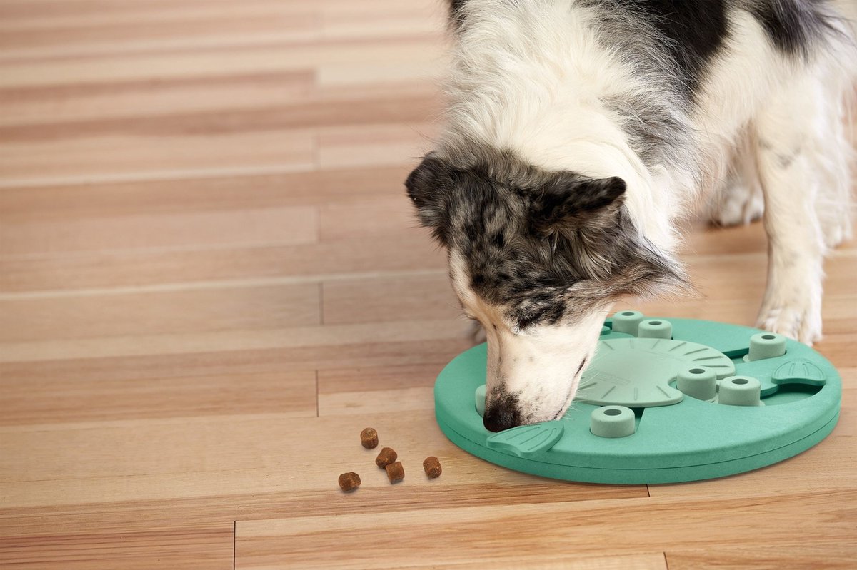 Nina Ottosson Hundearbeiter-Verbundwerkstoff 34,5 x 34,5 x 5 cm