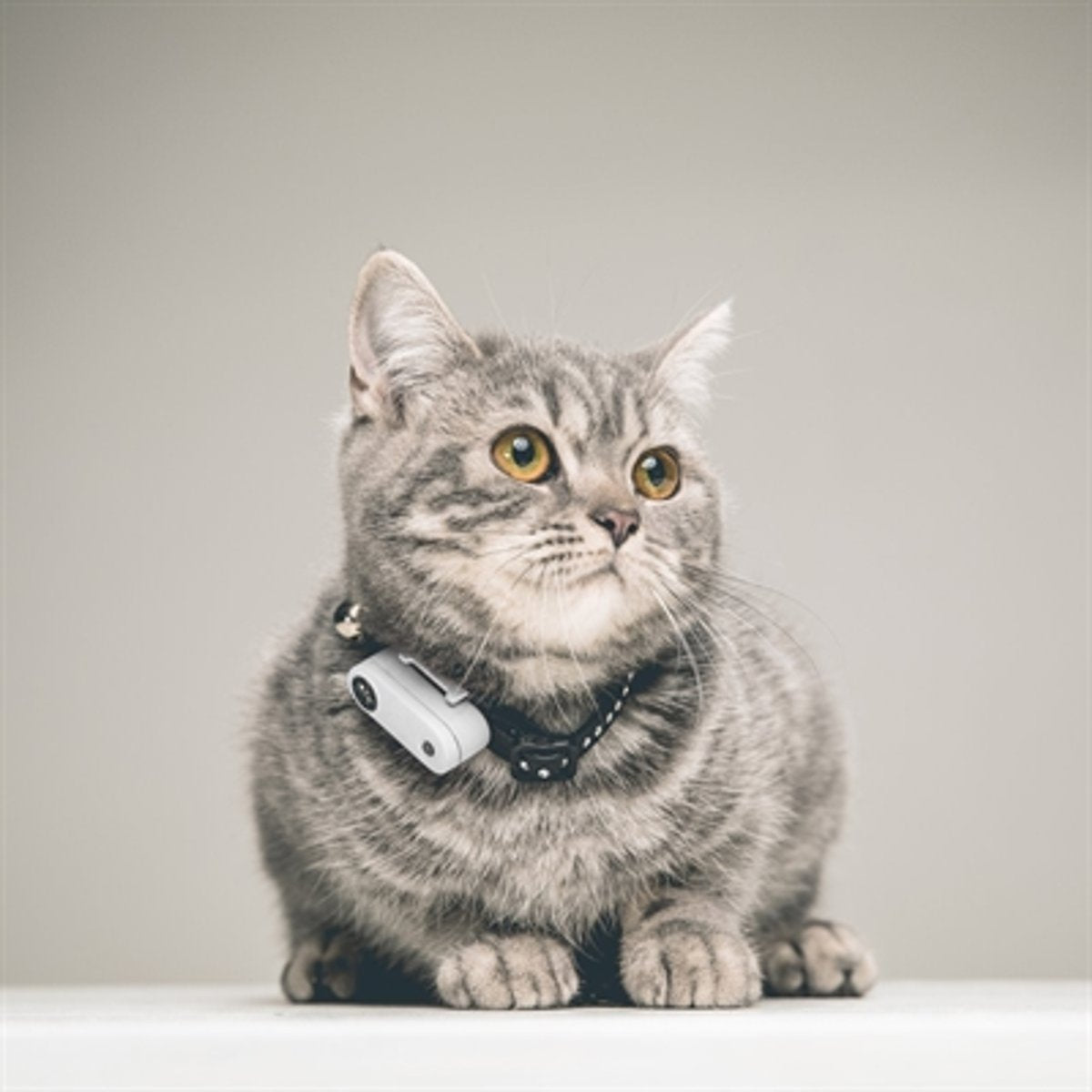 TICKLESS Teek En Vlo Afweer MINI KAT - WIT (oplaadbare versie die extra lang meegaat)
