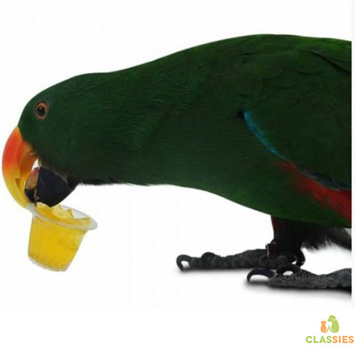 Fruitcups in verschillende smaken voor vogels per 6 stuks Classies