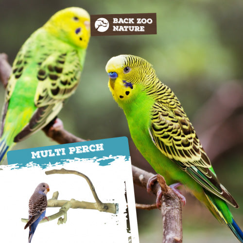 Back Zoo Nature Zitstok Multi Perch Premium X-Small - Geschikt voor: Tropische vogels, kanaries en kleine parkieten 2ee89c-2