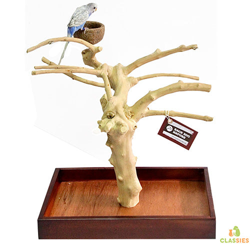 Back Zoo Nature Java speel stand