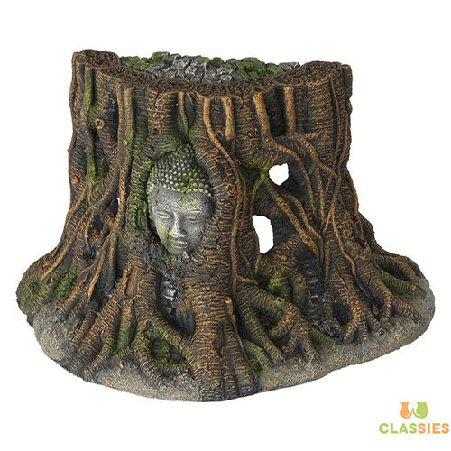 Aquarium Della Buddha Tree Thailand - 25,5x14x15 cm