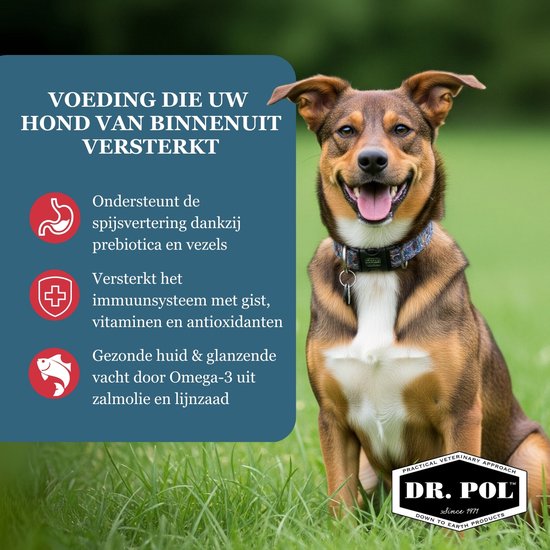 Dr Pol graanvrij zalm - probiotica - 2 - 10 kg