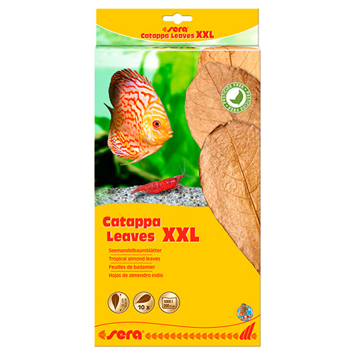 Sera Catappa Leaves S - M - XXL