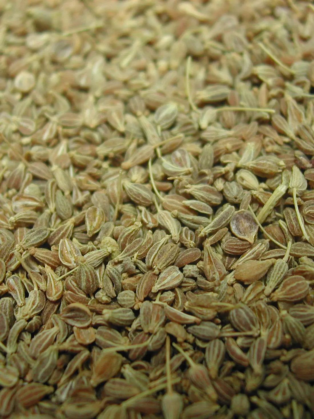 Anijszaad 3 - 25 kg Classies