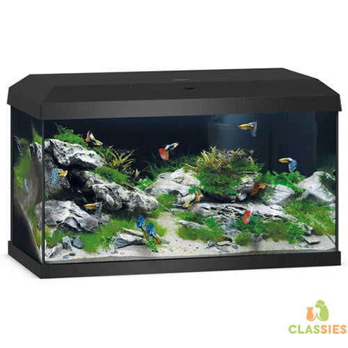 Aquarium Juwel - Primo 60 - mit Filter - Fassungsvermögen: 63 Liter - 61x31x37 cm.