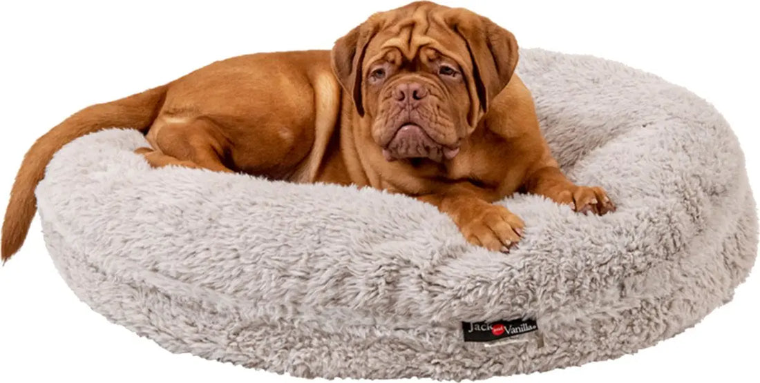 Jack and Vanilla Shell puff donut hondenkussen Classies