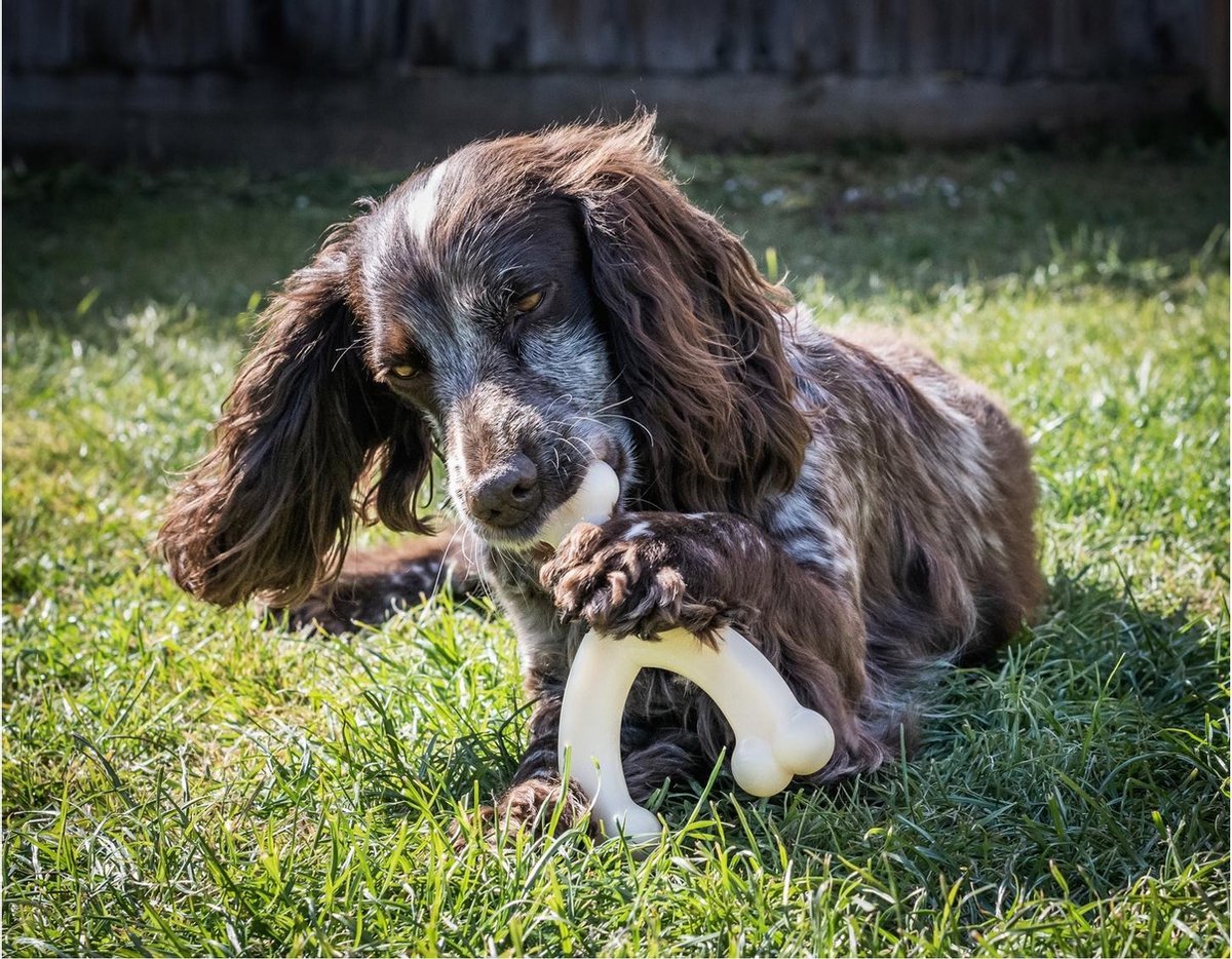 Nylabone Durachew Wishbone Wolf – 14 x 12 cm M