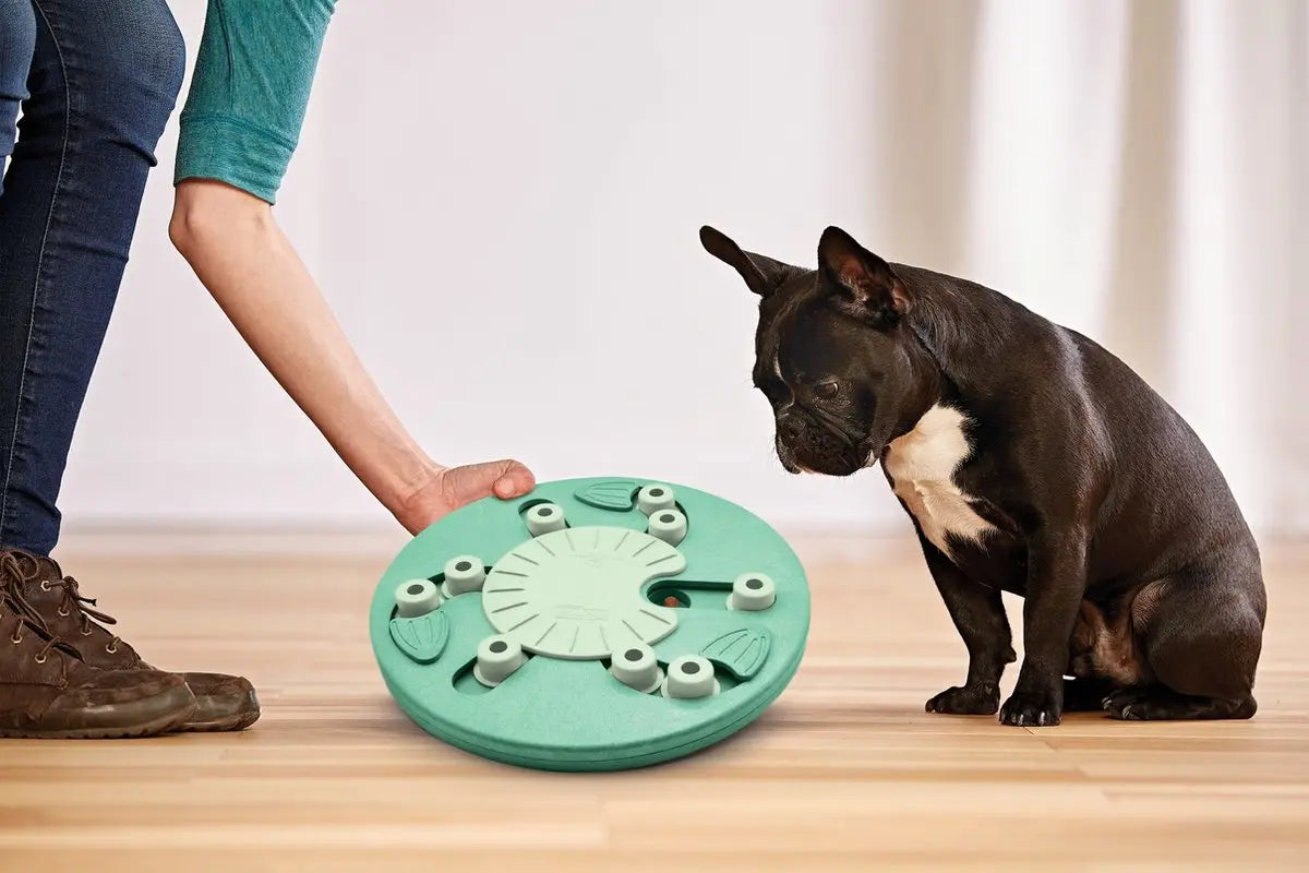 Nina ottosson dog worker composiet 34,5x34,5x5 cm Classies