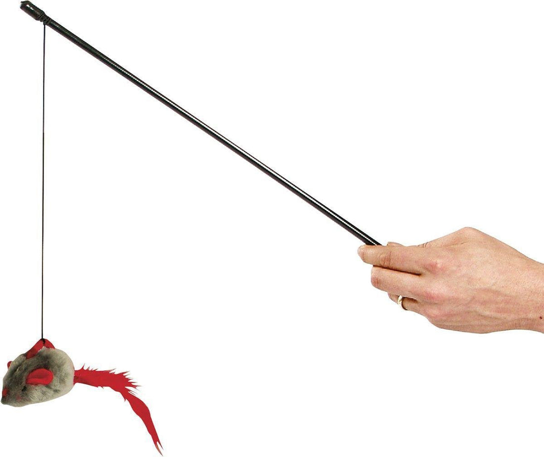 Kattenspeelgoed hengel Met Geluid - Zwart - 5 x 14 x 61 Classies