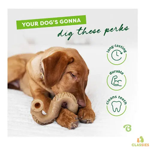 Benebone Tripe Bone Rund - knaagspeelgoed - pens - 3 maten Classies