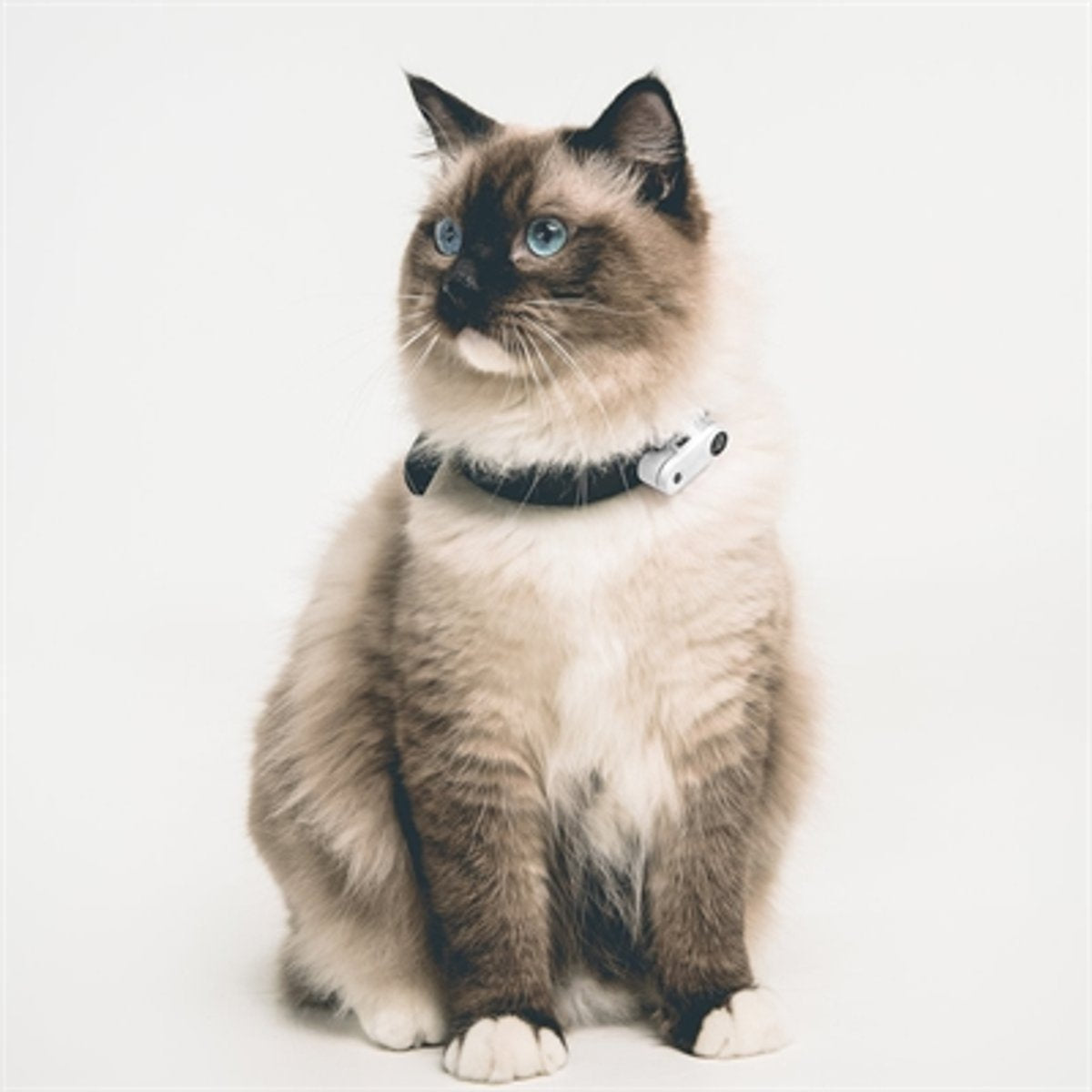 TICKLESS Teek En Vlo Afweer MINI KAT - WIT (oplaadbare versie die extra lang meegaat)