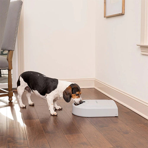 PetSafe voederautomaat voor 5-maaltijden op batterijen Classies