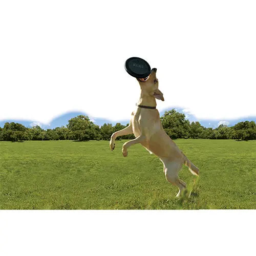 Kong hond Extreme Flyer rubber zwart, Ø 22,5 cm Classies