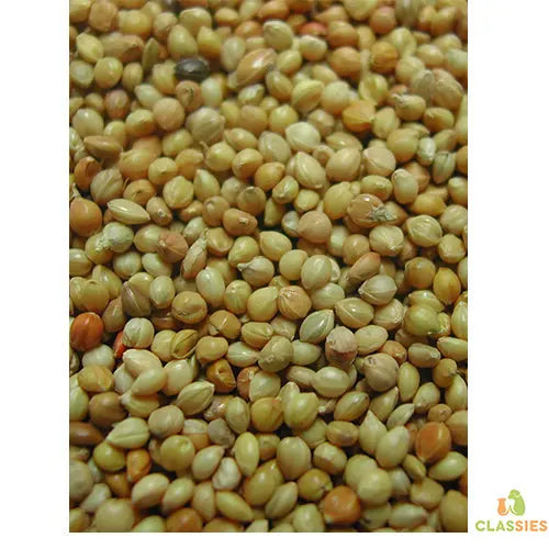 Panis geel Gierst in zak 1 - 20 kg Classies