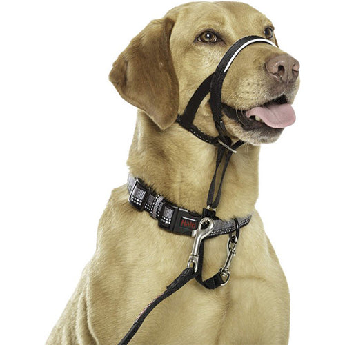 Company Of Animals Halti Hoofdhalsband - Anti Trek Harnas - Zwart - Maat 3 - Nekomtrek: 40-54 cm