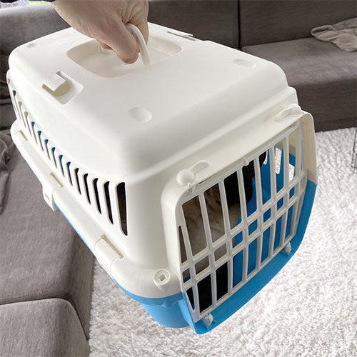 Smurfs Potige Smurf Duvoplus - Reisbench Transporter voor Honden of Katten - Afmetingen: 46x30x30 cm Classies