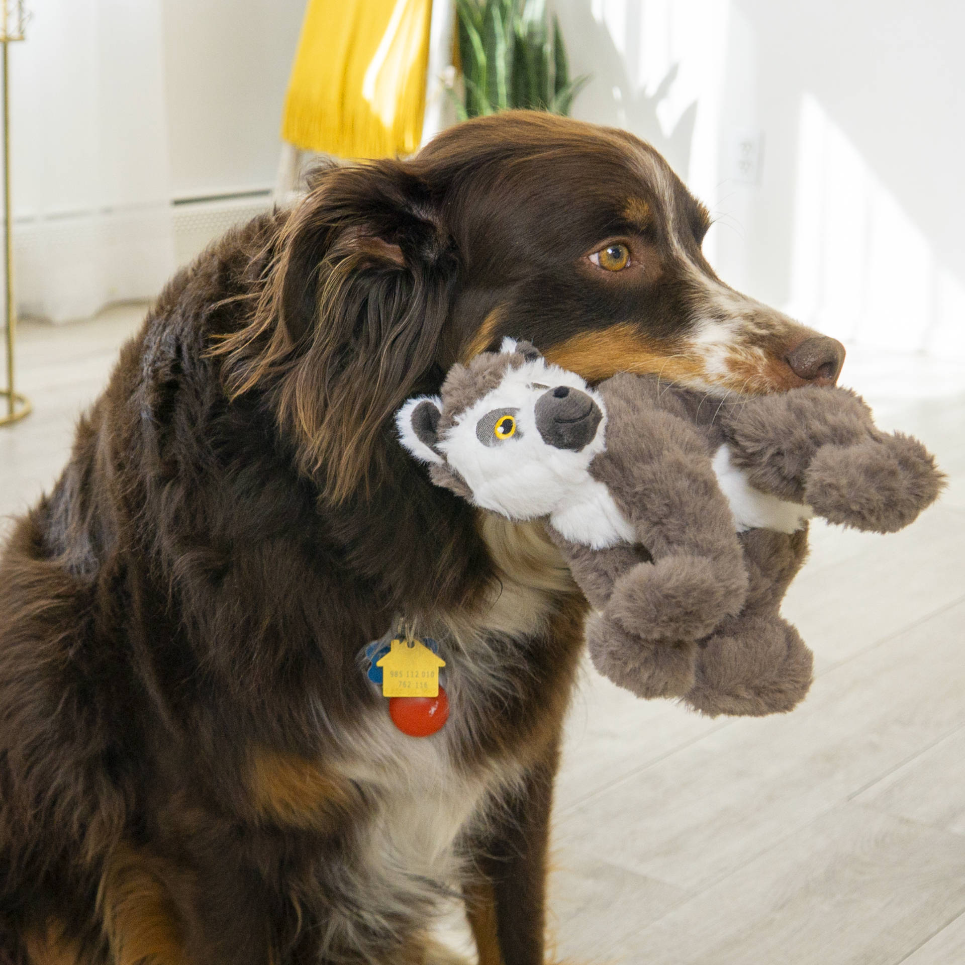 Kong hond knuffel scampers lemur medium 25 cm