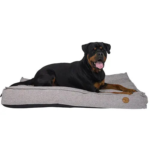 Jack and Vanilla orthopedisch hondenkussen hondenbed - 3 maten 2ee89c-2